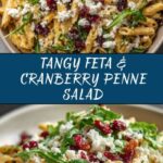 Feta & Cranberry Penne Salad with Orange Vinaigrette Recipe