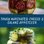 Easy Marinated Cheese Appetizer with Salami & Pickles Recipe