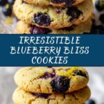Best Ever Blueberry Cookies Recipe