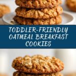Healthy Oatmeal Toddler Breakfast Cookies Recipe