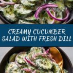 Creamy Cucumber Salad Recipe
