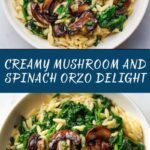 Mushroom and Spinach Orzo Recipe