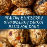 Blueberry, Strawberry, and Carrot Balls for Dogs Recipe