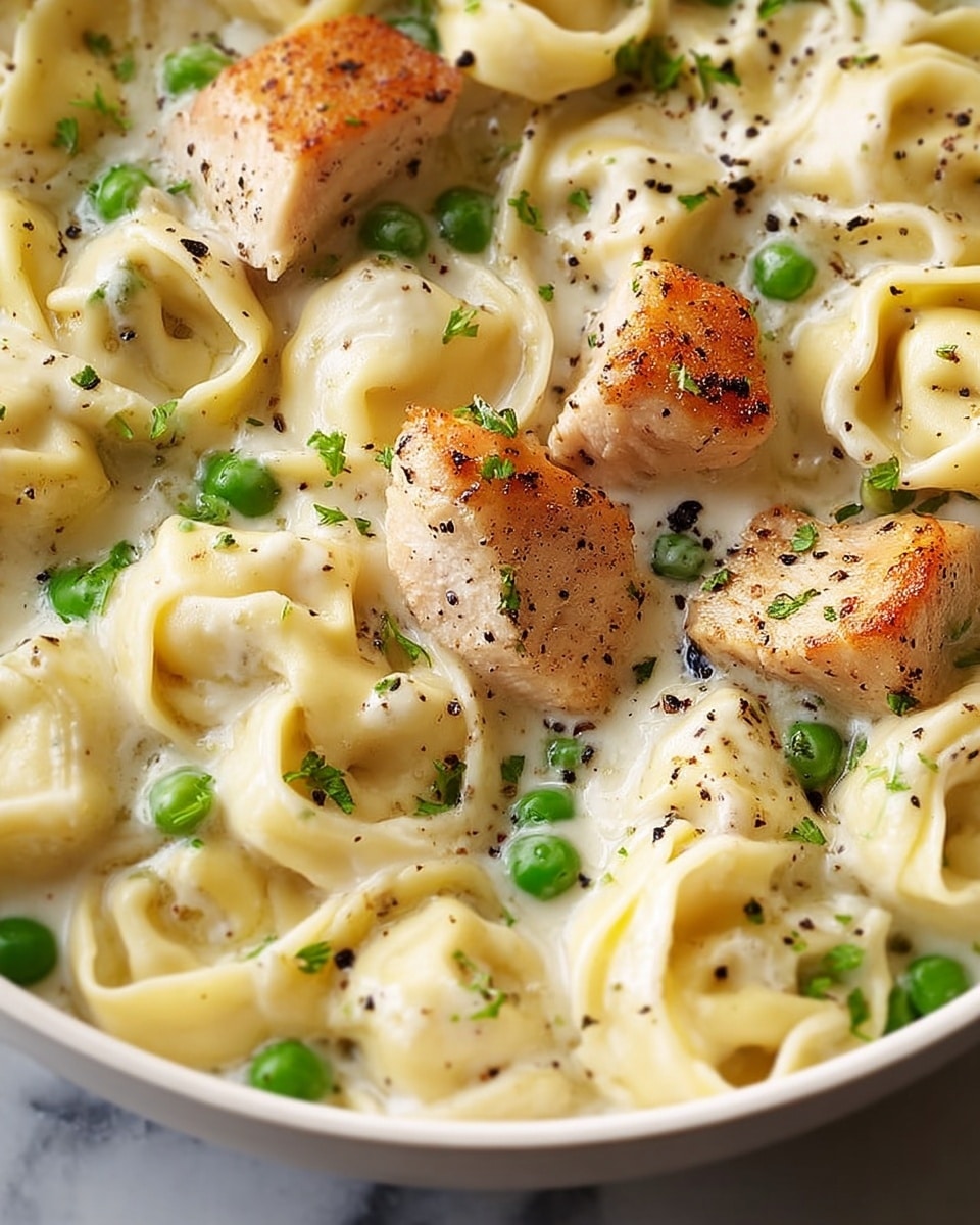 Chicken Tortellini Alfredo Recipe - Recipe Image