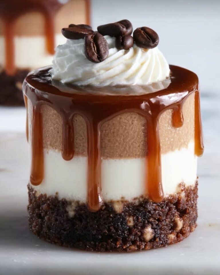 Salted Caramel Mocha Cheesecakes Recipe