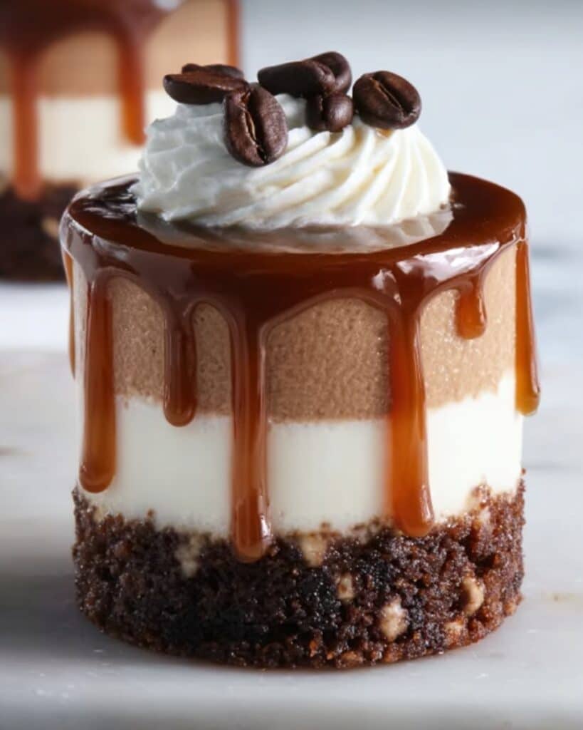 Salted Caramel Mocha Cheesecakes Recipe