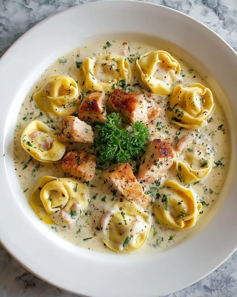 Creamy Chicken Alfredo Tortellini Recipe