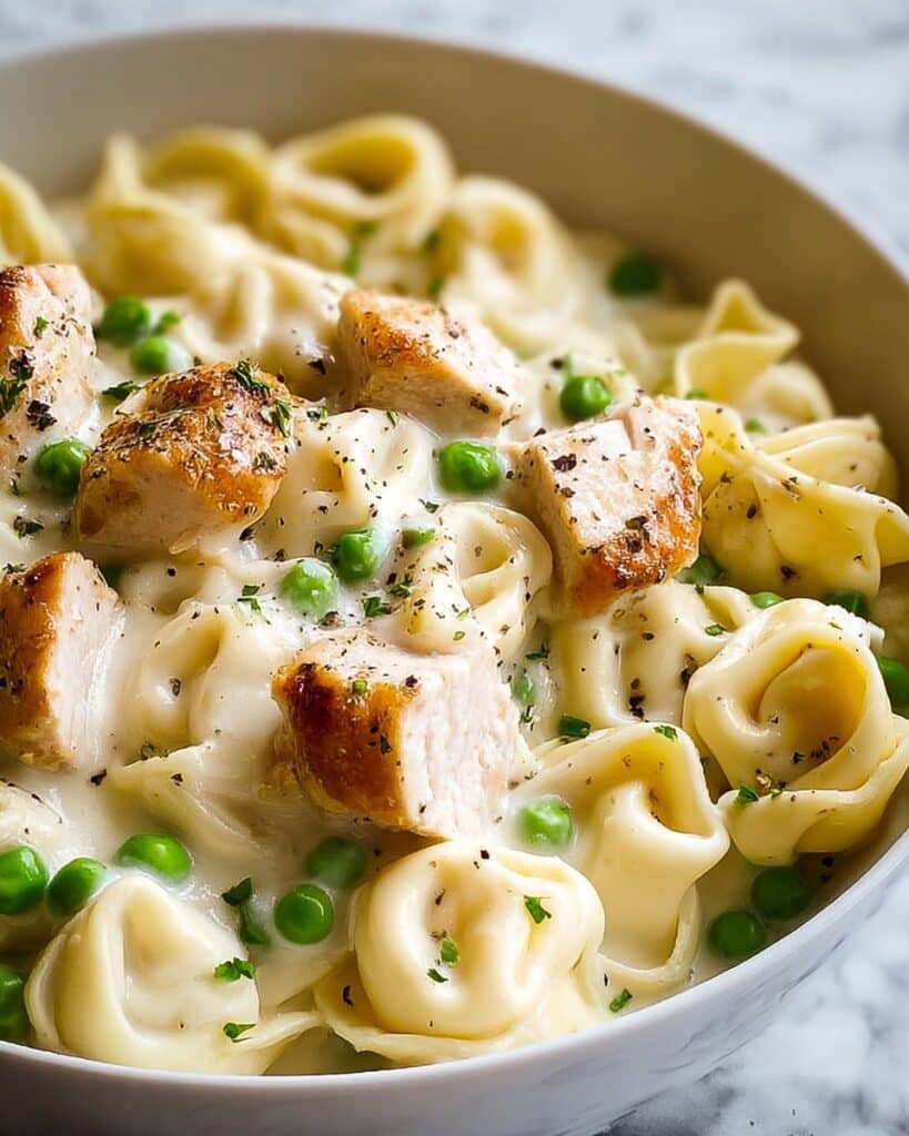 Chicken Tortellini Alfredo Recipe