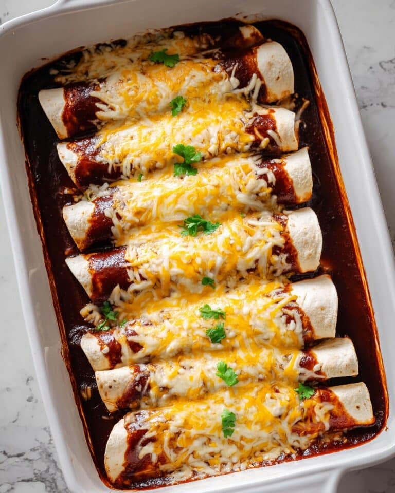 Chicken Enchiladas with Homemade Red Enchilada Sauce Recipe