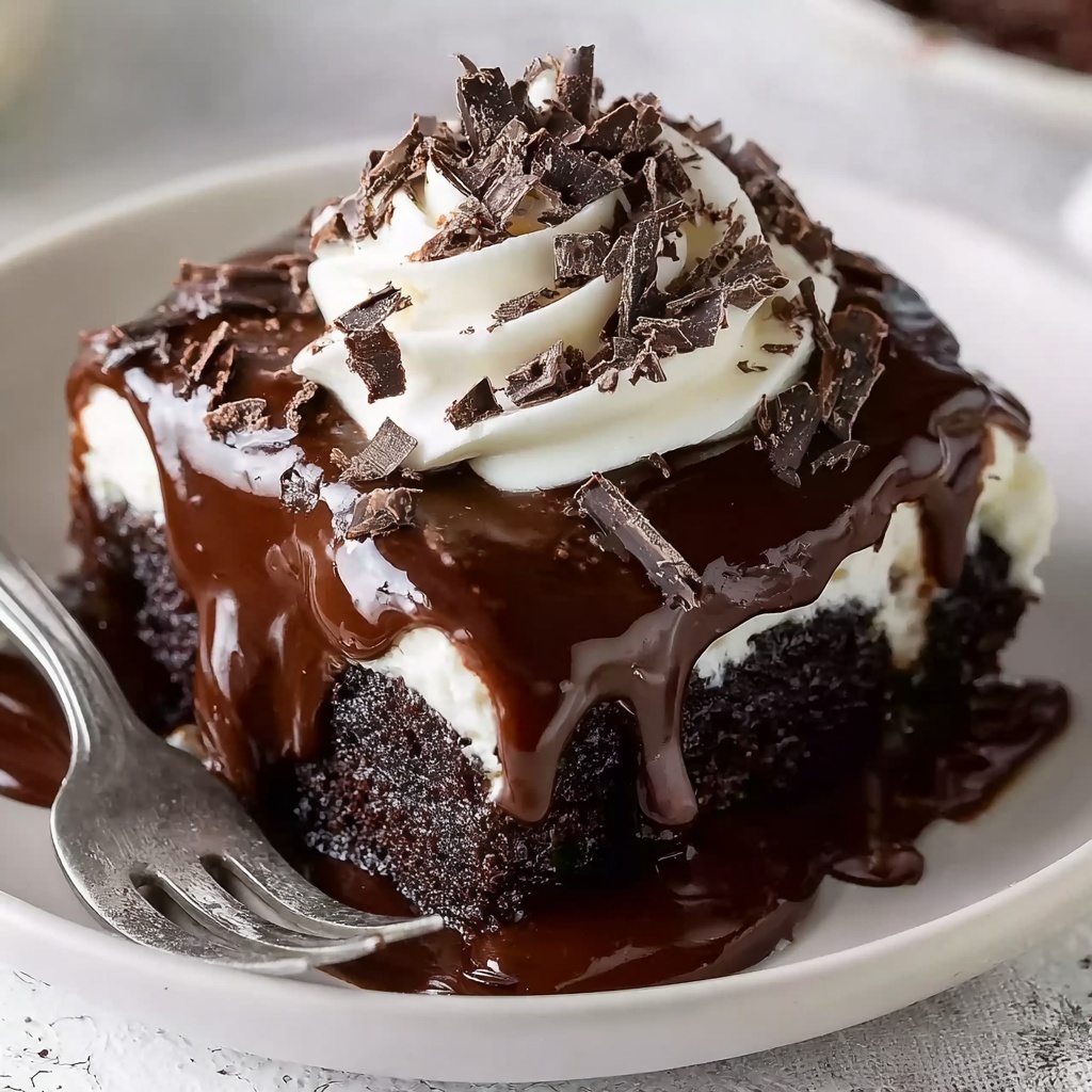 Hot Fudge Chocolate Pudding Cake Recipe - Recipe Image
