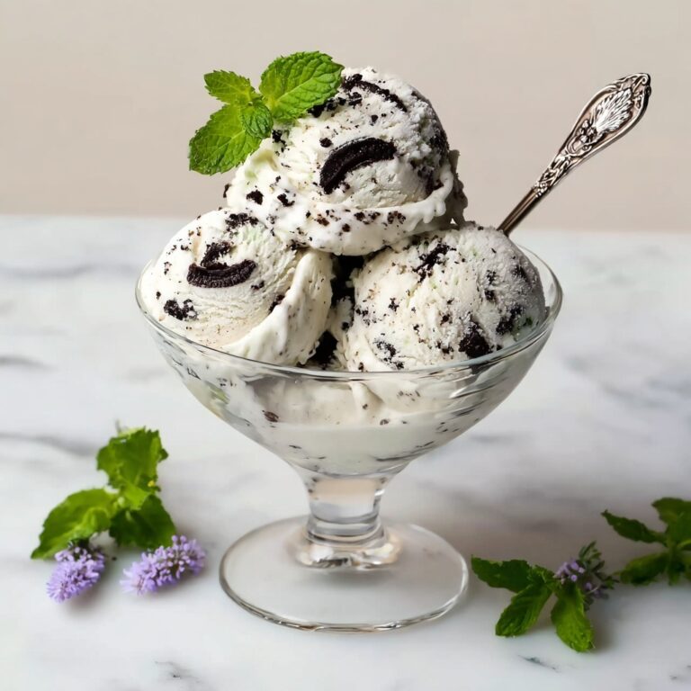 Homemade Mint Chocolate Chip Ice Cream Recipe