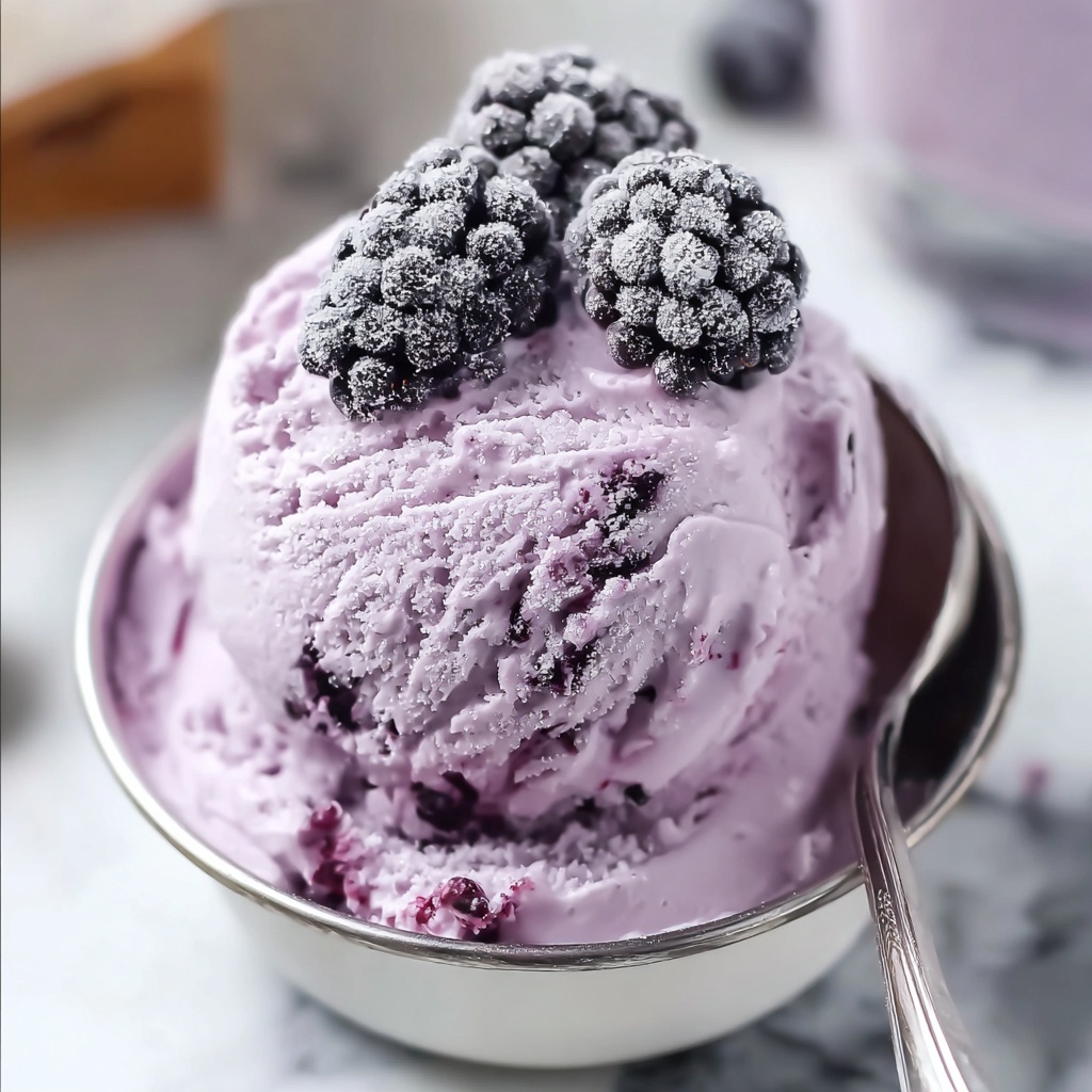Keto Blueberry Cheesecake Protein Ice Cream Recipe - Recipe Image