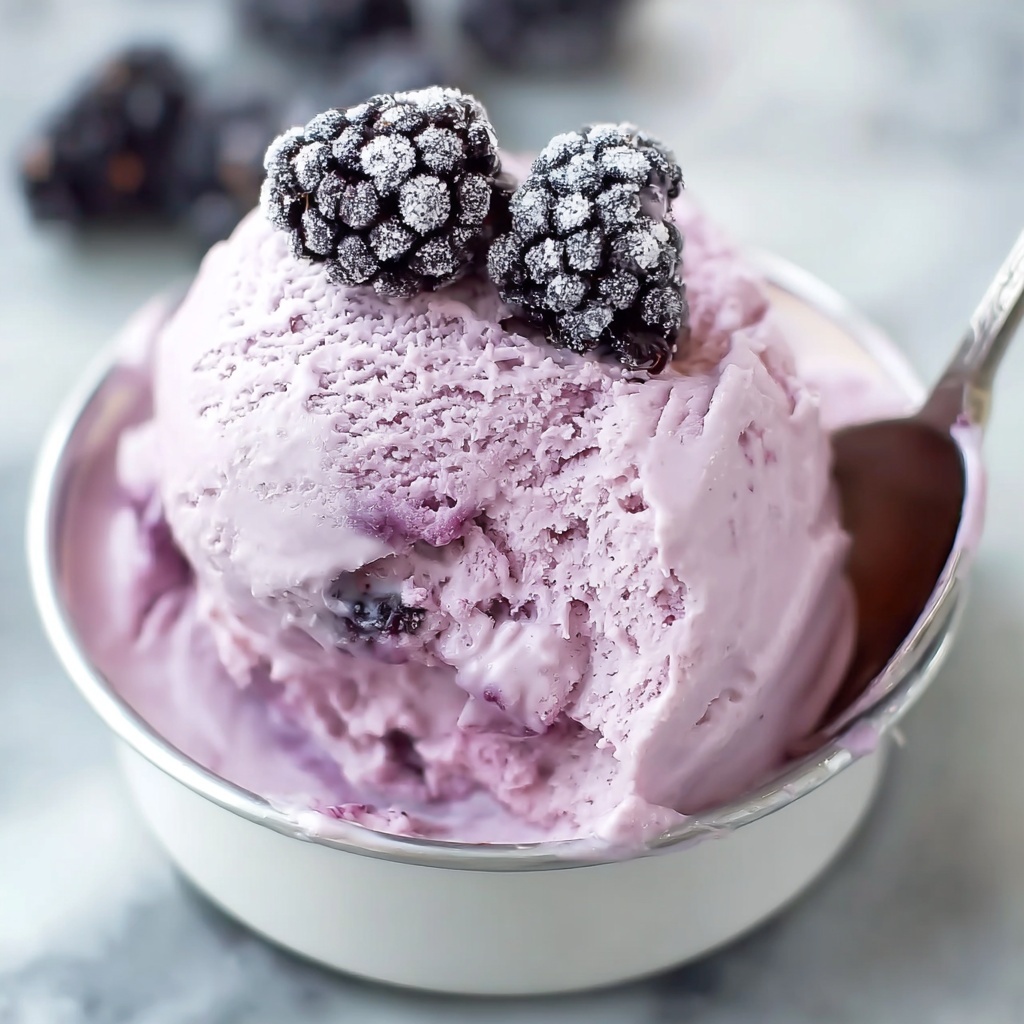 Keto Blueberry Cheesecake Protein Ice Cream Recipe - Recipe Image